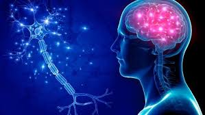 New PostThe Efficacy of Gabapentin in Controlling Epileptic