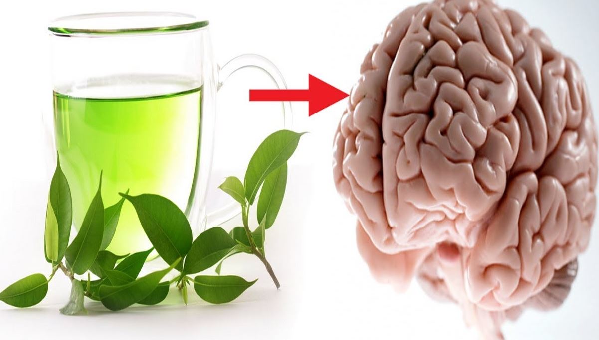Looking for healthy Body | Drink Green tea