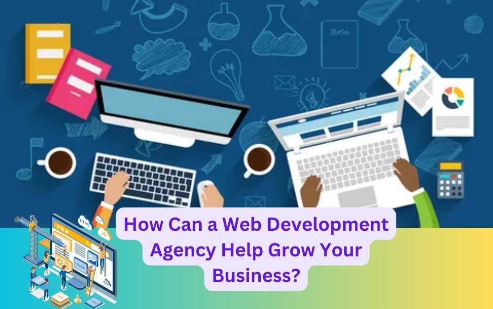 How Can a Web Development Agency Help Grow Your Business?