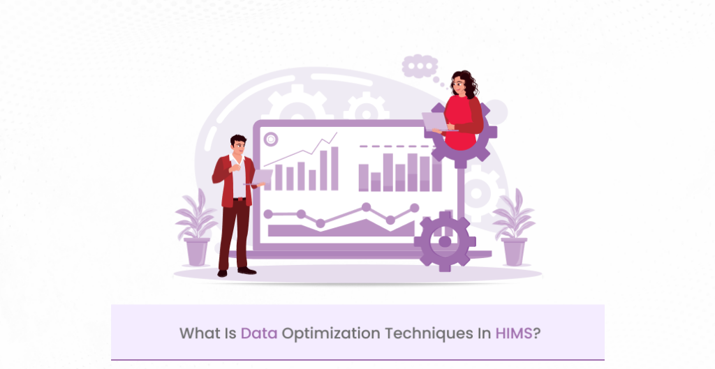 New PostWhat are Data Optimization Techniques In HIMS?