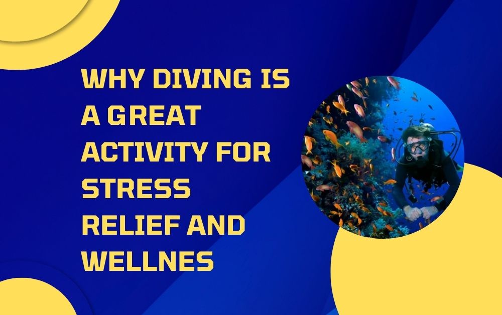 Why Diving is a Great Activity for Stress Relief and Wellnes