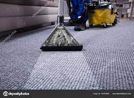 The Essential Role of Professional Carpet Cleaning i