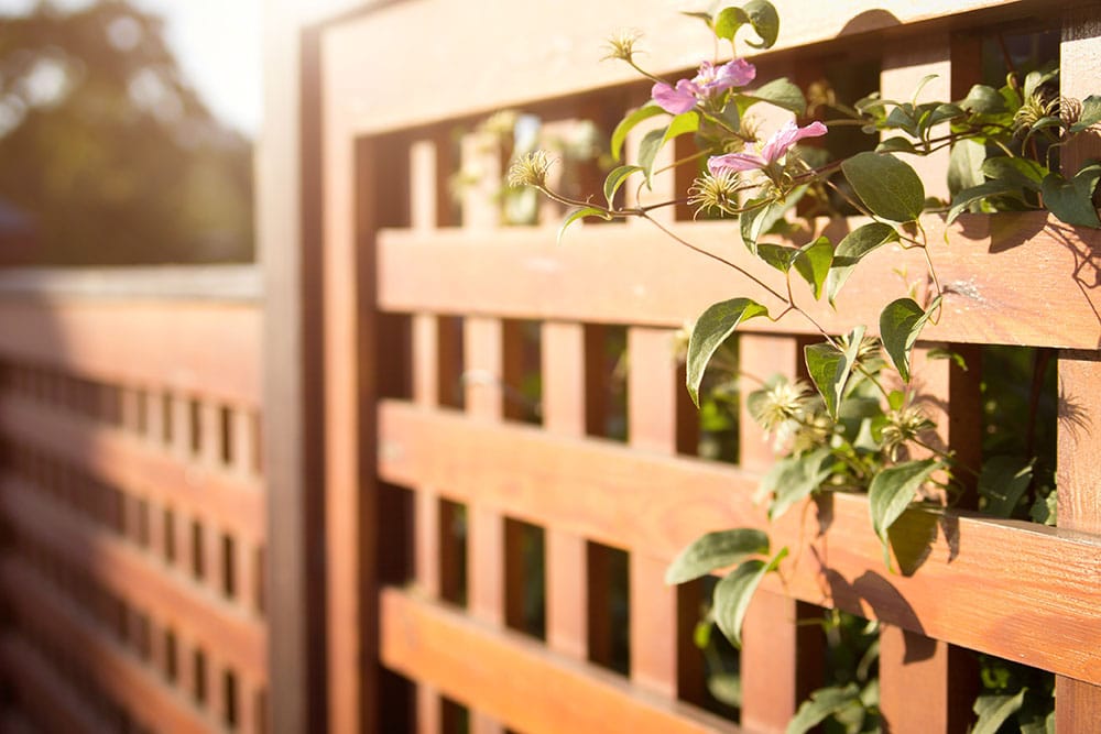 Fencing Ringwood: Protect and Beautify Your Property