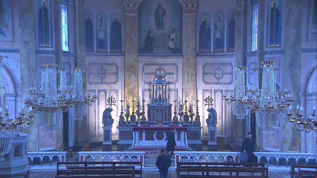 Mass online – major web page to join Daily Mass if you are i