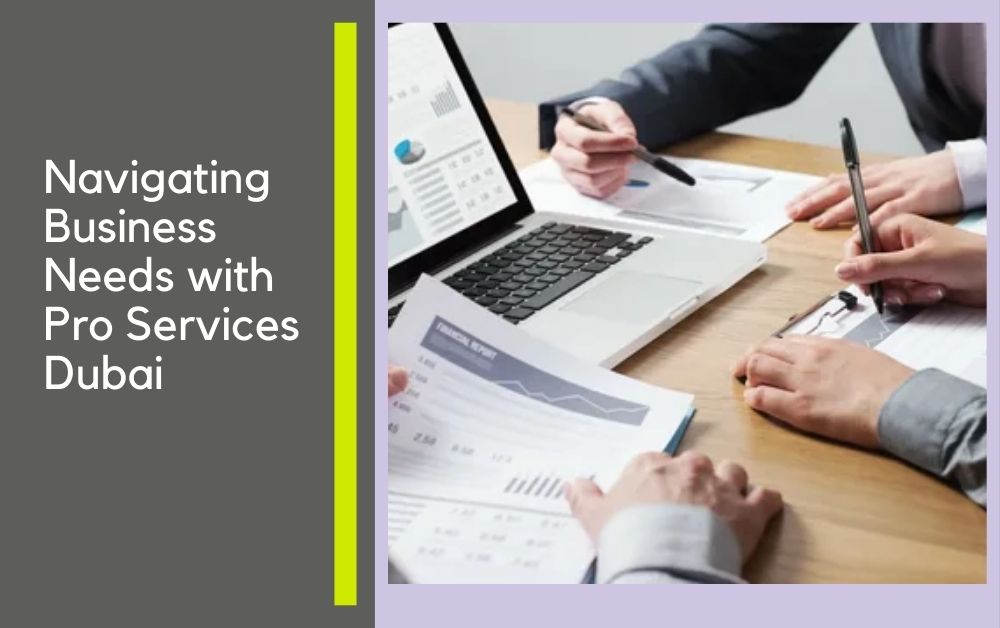 Navigating Business Needs with Pro Services Dubai