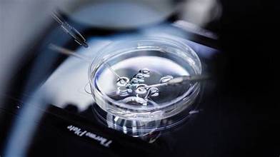 China In-Vitro Fertilization Market Analysis And Growth Fore