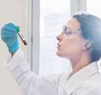 Germany In-Vitro Diagnostics Market Size And Forecast Report