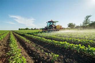 Global Fertilizer Market Analysis And Growth Forecast 2024-2