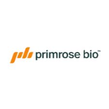 Understanding the Role of Custom Protein Production in Drug