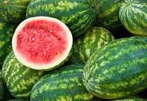 United States Melon Market Size And Forecast Report 2024-203