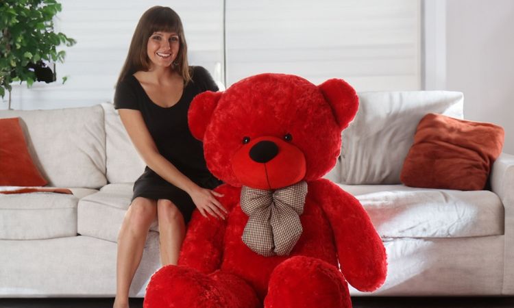 Why Collecting Stuffed Bears is a Growing Trend