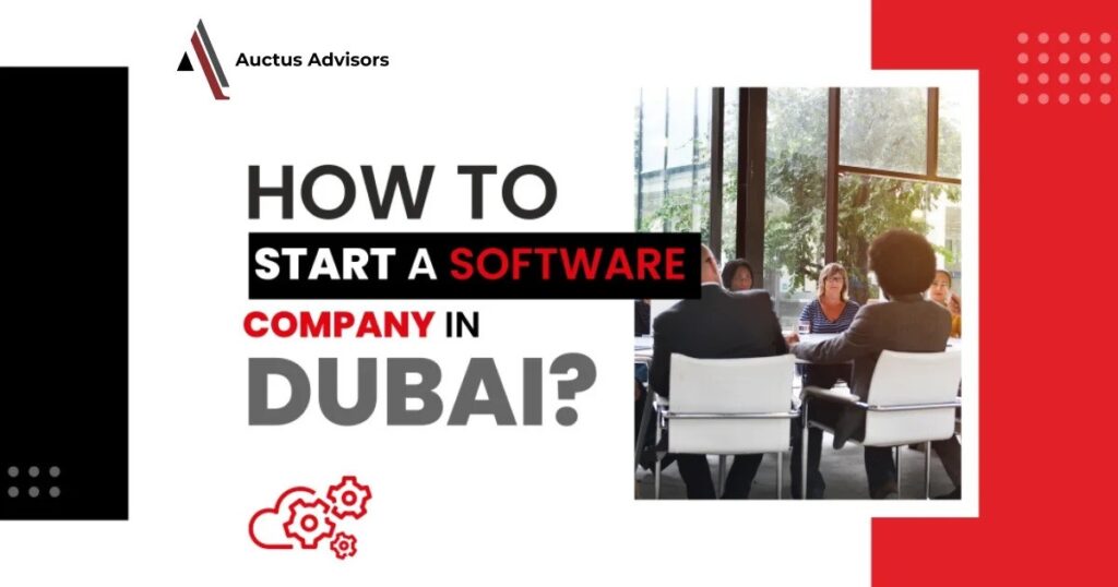 How to Start a Software Company from Pakistan in Dubai