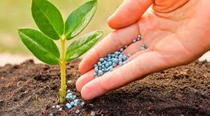 Agricultural Micronutrients Market Analysis Size And Forecas
