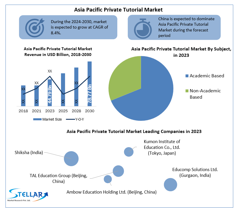 Asia Pacific Private Tutorial Market Business Statistics