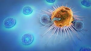 Cancer Immunotherapy Market Analysis Size And Forecast Repor