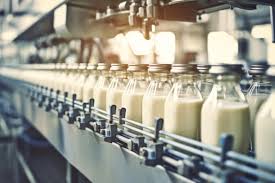 China Dairy Market Size And Forecast Report By Renub Researc