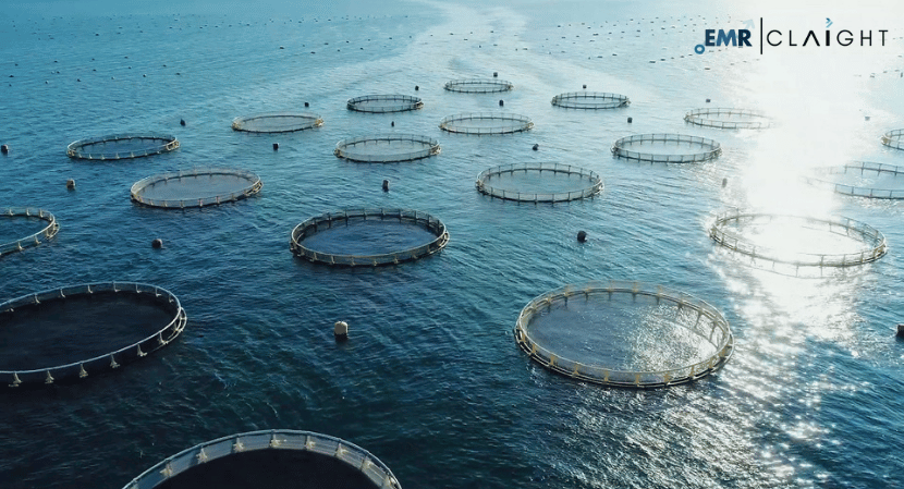 Fish Farming Market Size & Industry Trends | Report 2033