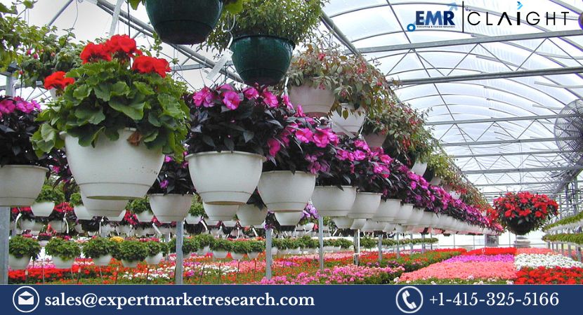 Australia Floriculture Market Size, Share, Demand & Forecast