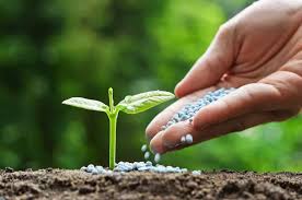 Global Fertilizer Market Analysis Size And Forecast Report 2