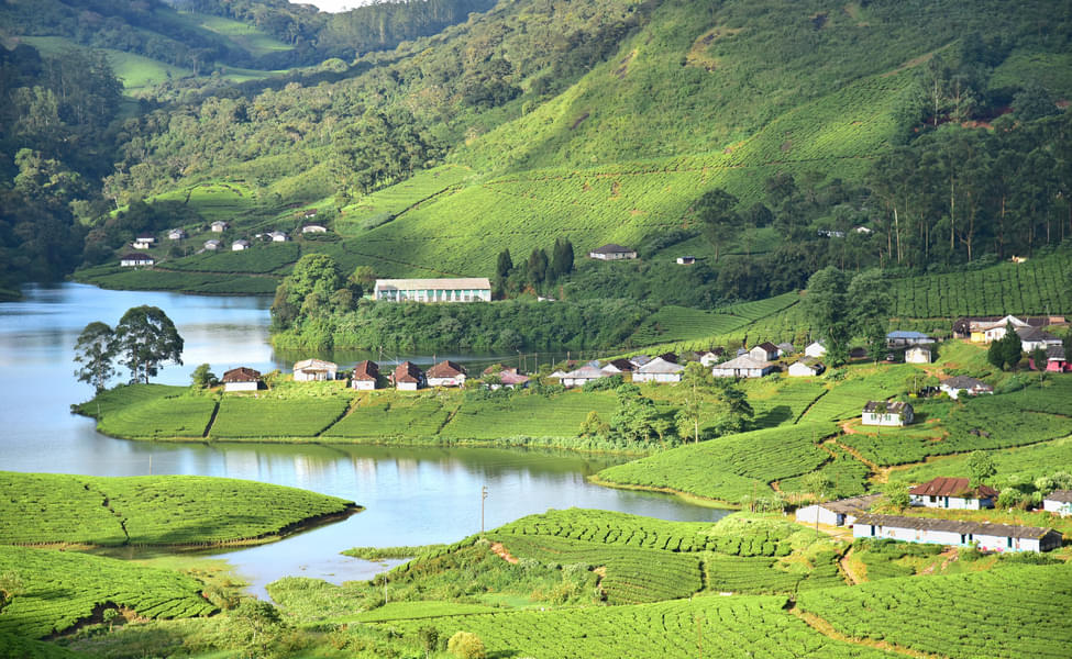 Kochi to Munnar Cab