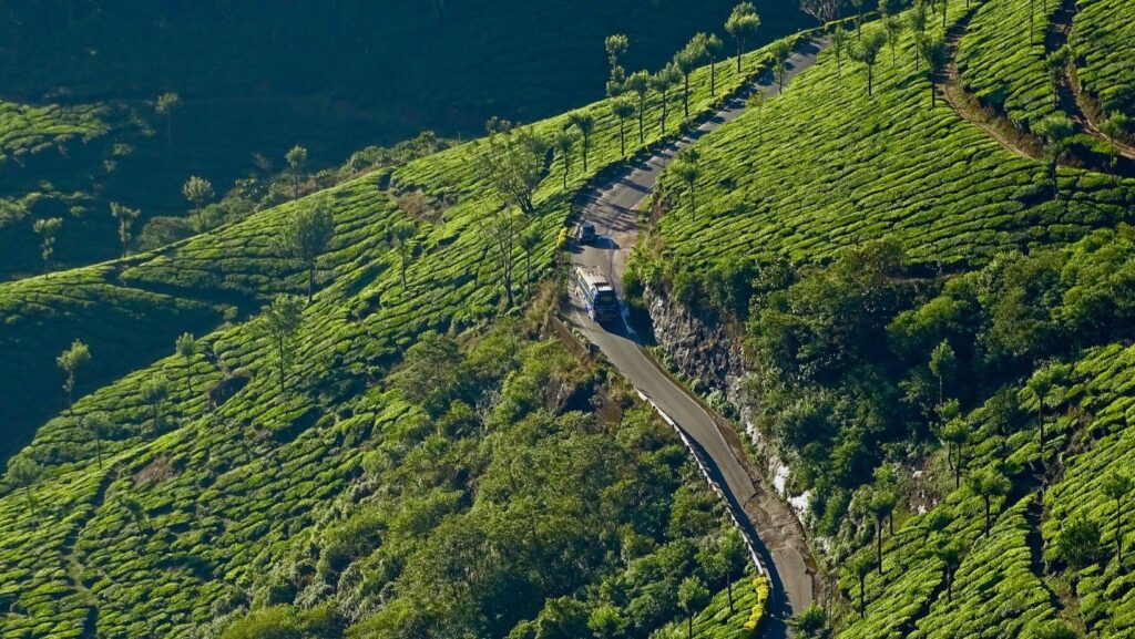 NPothamedu Viewpoint: A Hidden Gem in Munnar, Keralaew Post