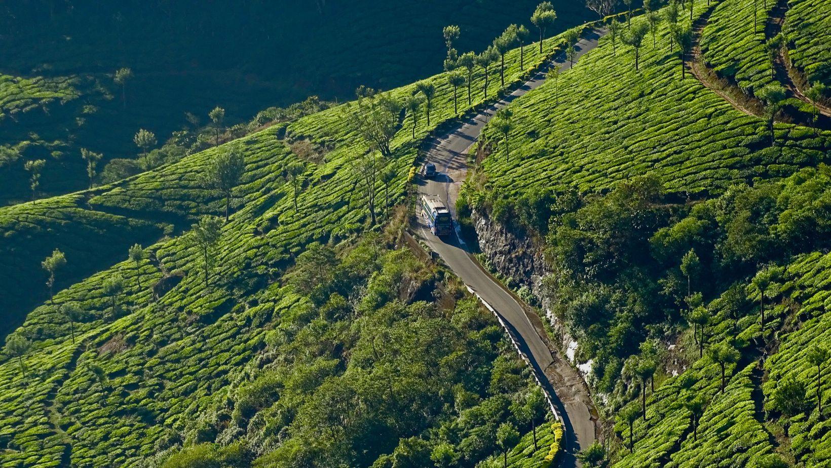 NPothamedu Viewpoint: A Hidden Gem in Munnar, Keralaew Post