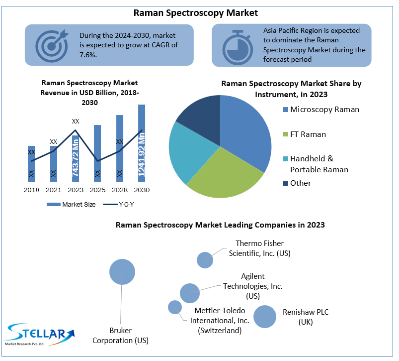 Raman Spectroscopy Market Report Cover Market Size, growth