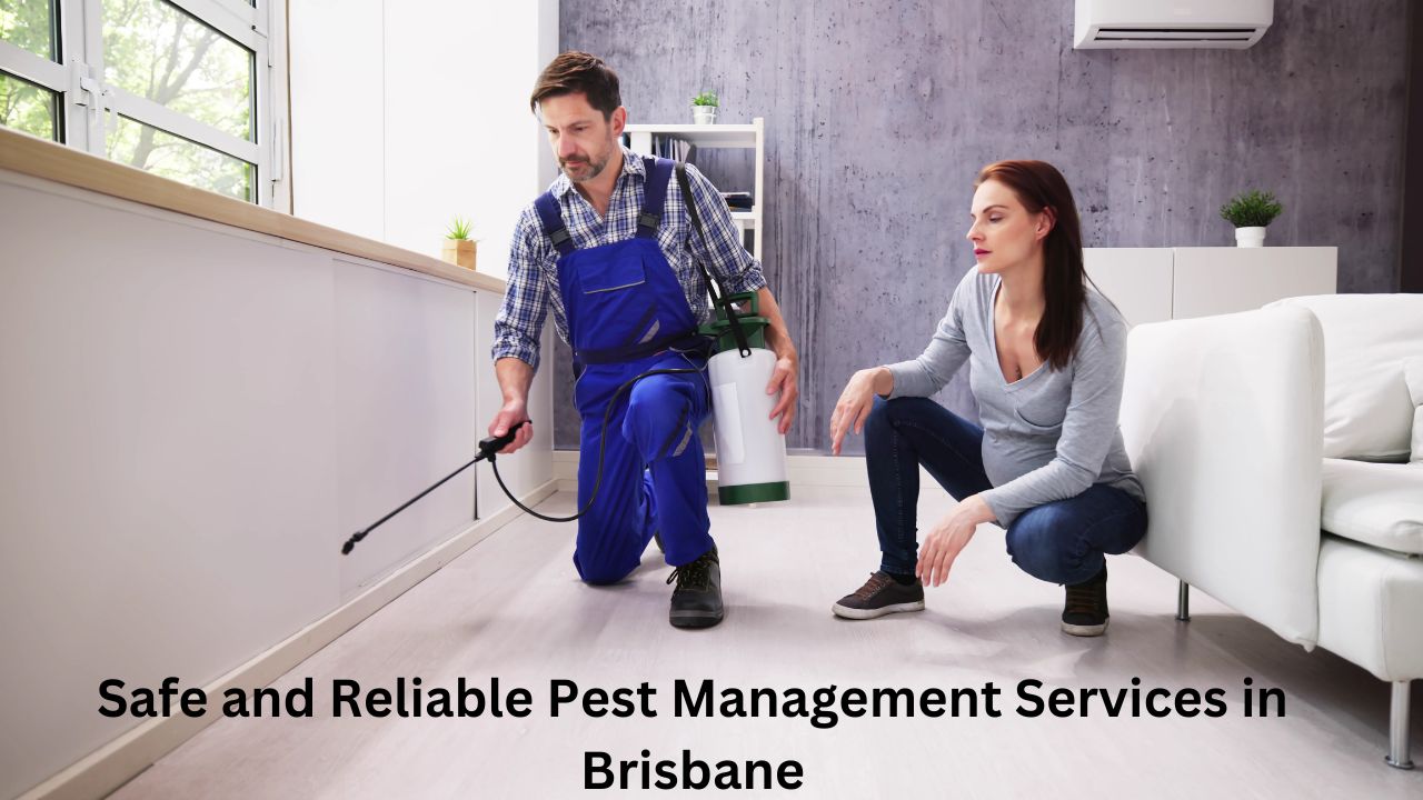 Safe and Reliable Pest Management Services in Brisbane