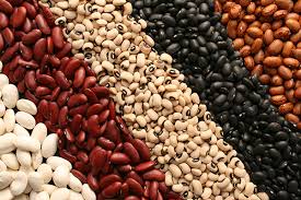 United States Pulse Market Market Size And Forecast Report B