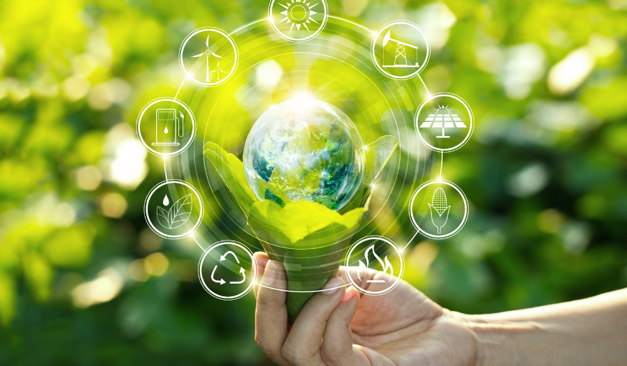 Sustainability Reporting and Its Impact on ESG Performance