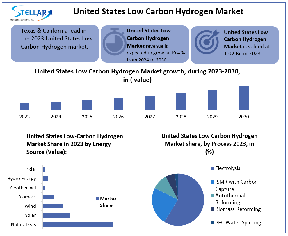 United States Low Carbon Hydrogen Market Top Manufacturers