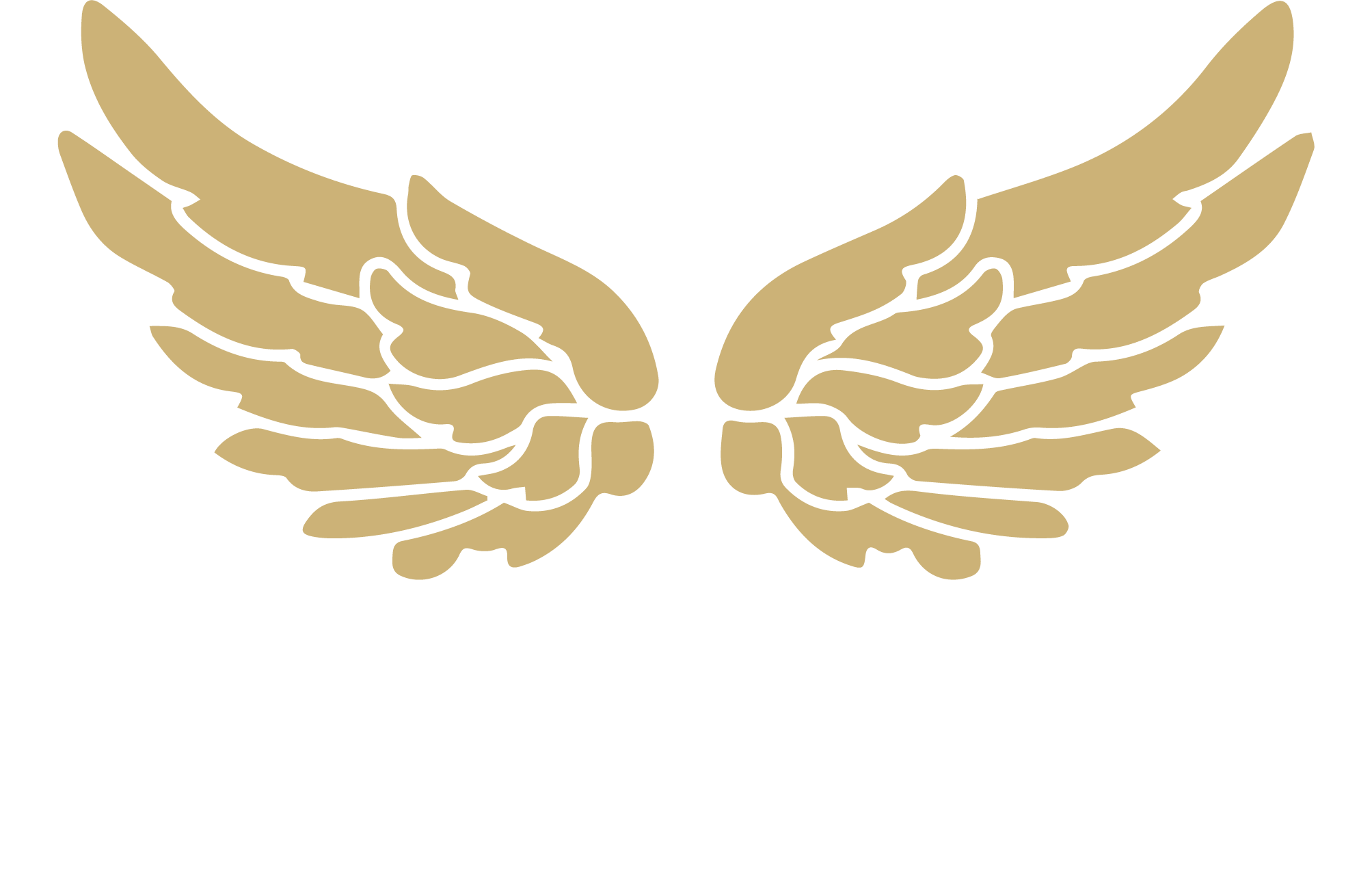 Empowering Your Journey to Mental Wellness: A New Beginning