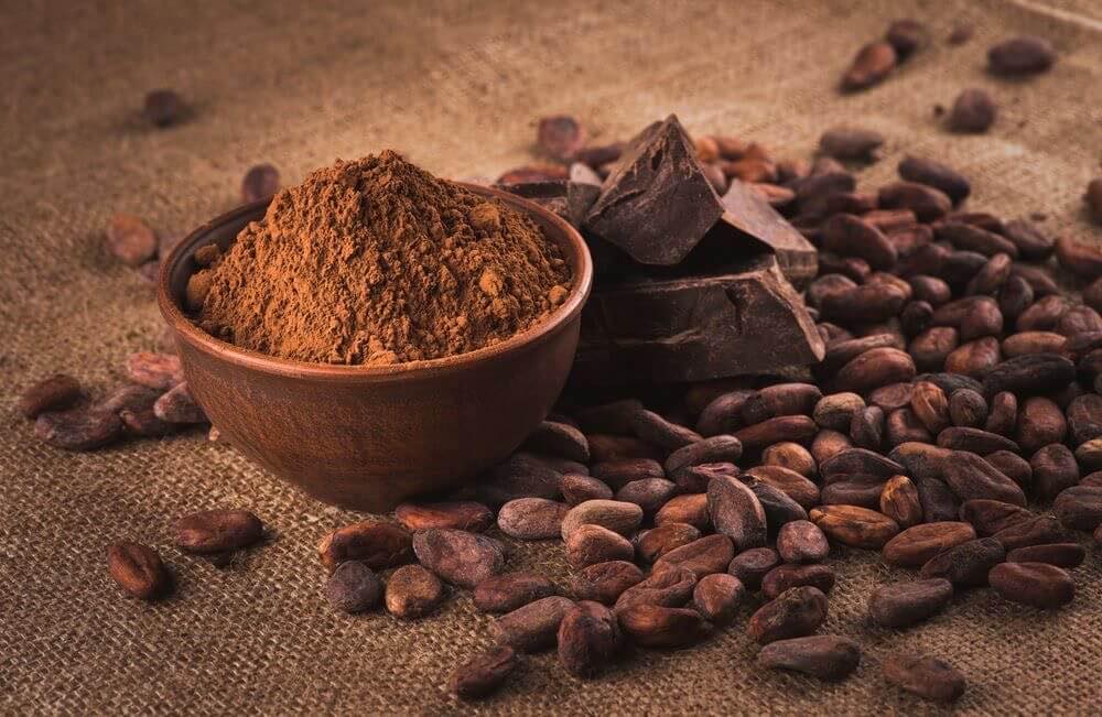 Discover Premium Alkalized Cocoa Powder from Indonesia