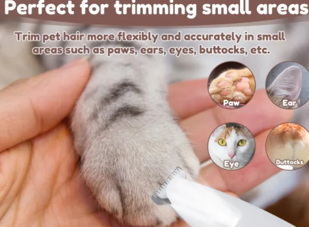 Say Goodbye to Scary Clipping: How a Dog Nail Grinder Can Transform Grooming