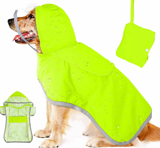 Paw-sitive Protection: Choosing the Perfect Dog Raincoat