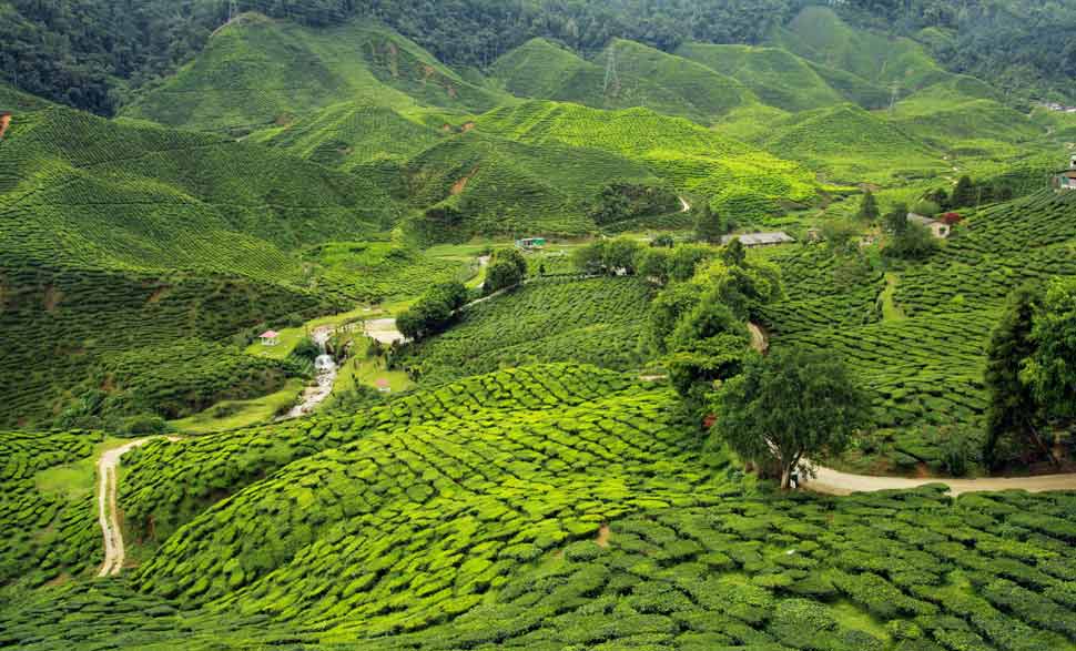 North East Tour Packages: Exploring the Unexplored Beauty