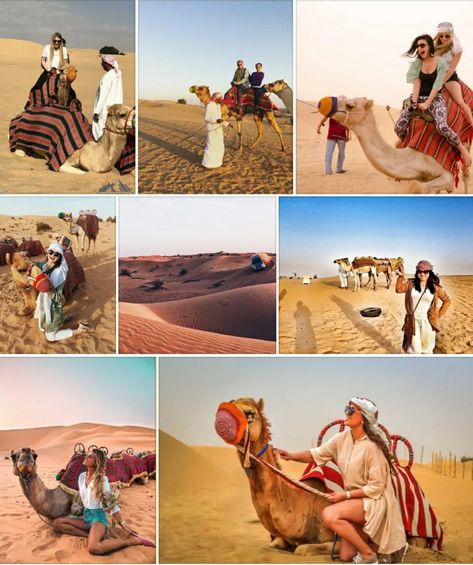 Best Desert Safari Tours in UAE | Book Your Adventure Today