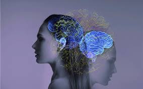 How Addiction Affects the Brain’s Reward System