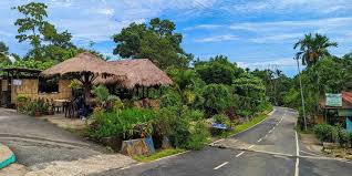 Mawlynnong Tour Packages: Explore the Cleanest Village