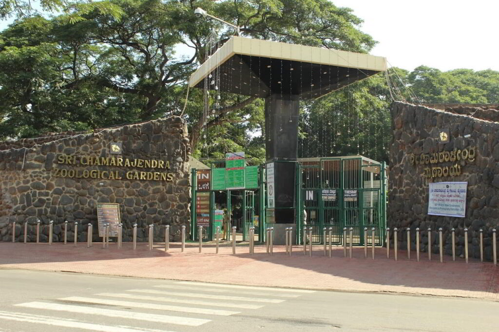 Exploring Mysore Zoo: A Wildlife Haven in Mysuru