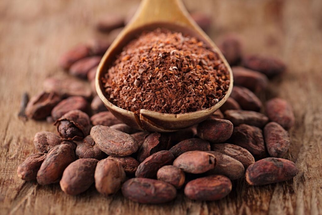 Cocoa Bean Processing Plant Project Report: Setup and Cost