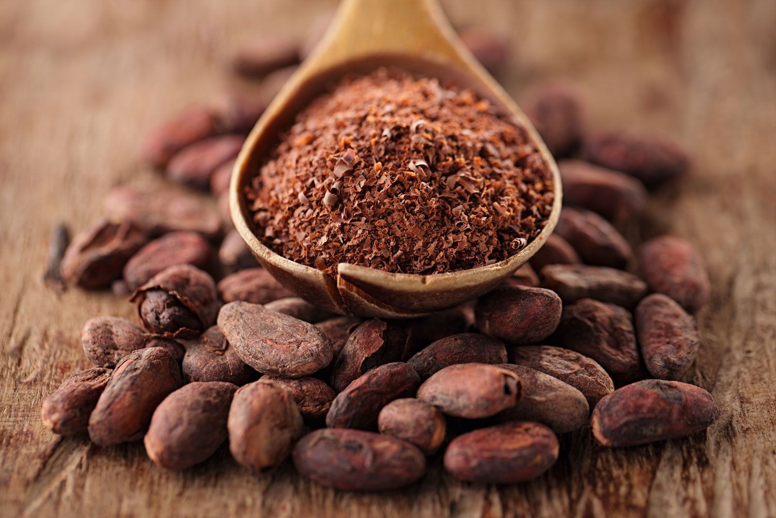 Cocoa Bean Processing Plant Project Report: Setup and Cost