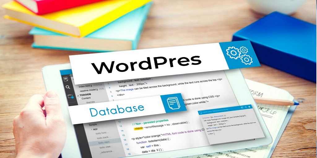 Struggling with WordPress Performance?