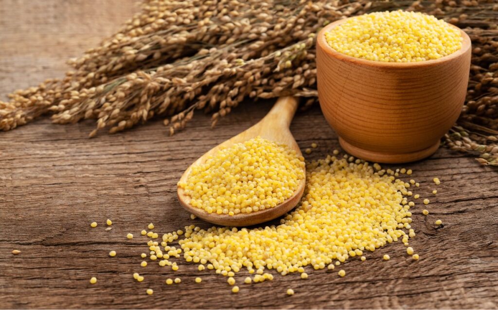 How to Set Up a Millet Processing Plant: A Beginner’s Guide