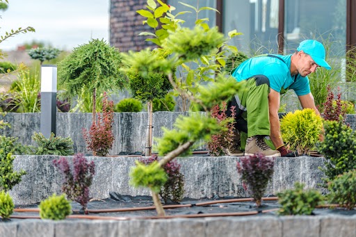 Top Landscaping Services in Melbourne:Transform Your Outdoor