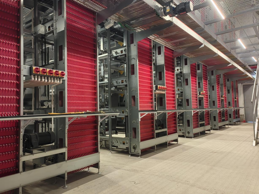 How Egg Layer Cages Revolutionize Poultry Farming Efficiency
