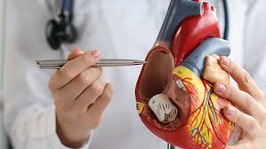 Cardiologist Consultation in Bangalore | Top Heart Specialists Near You