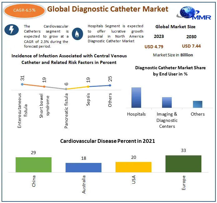 Expanding Healthcare Sector Drives Diagnostic Catheter Marke