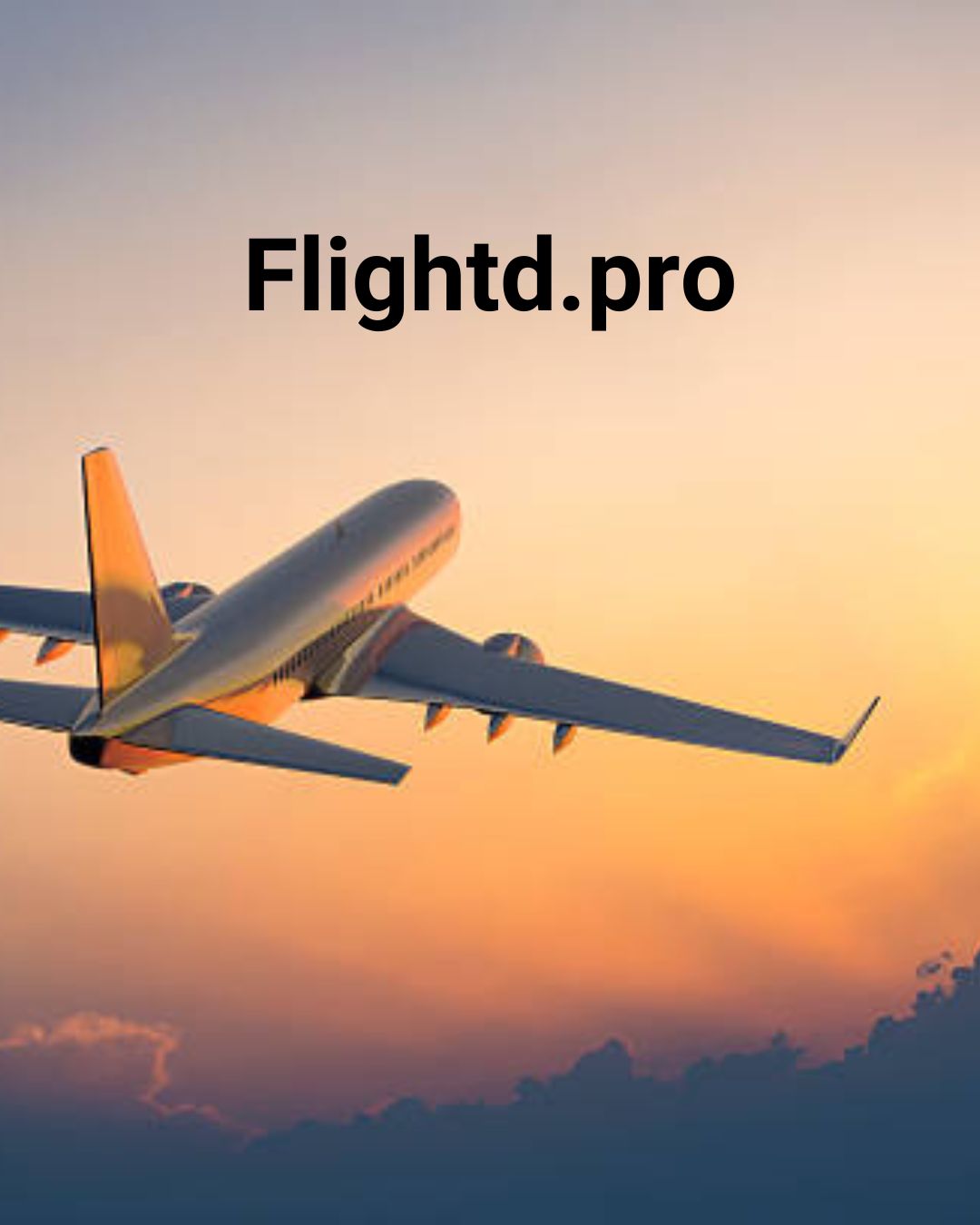 Why Choose Flightd for Flight Bookings?
