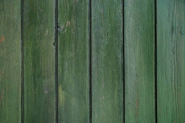 How To Remove Green Mold From Fence?